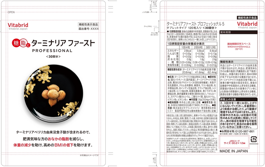 ターミナリアファースト　プロフェッショナル５－１