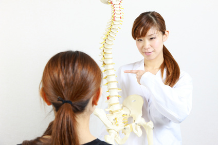 Chiropractor using a plastic model to explain to her patient.